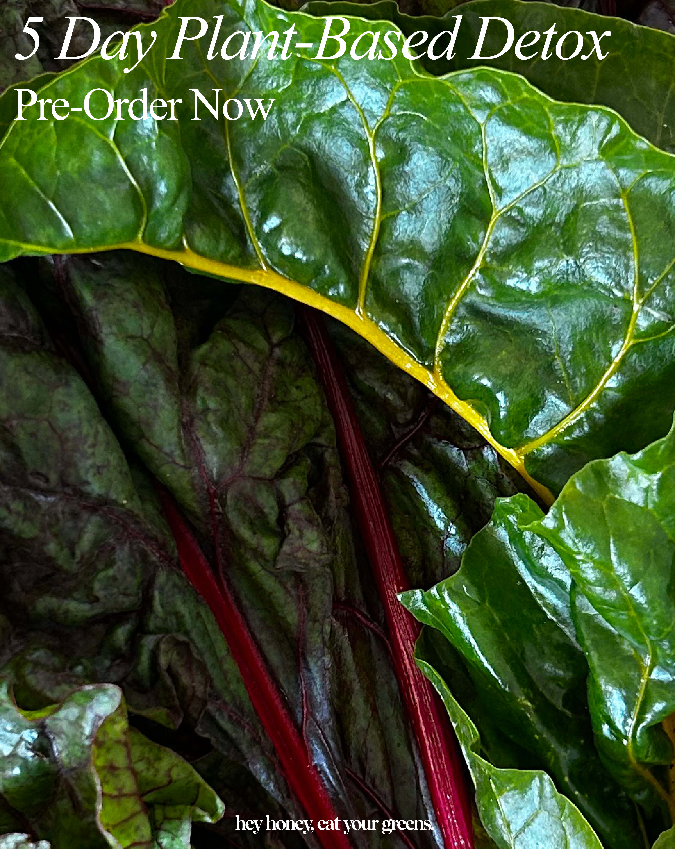 The Seasonal 5-Day Plant Detox